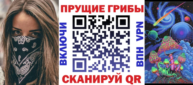 Псилоцибиновые грибы Psilocybe  где продают наркотики  Хабаровск 